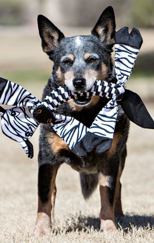 Іграшка д/собак пищалка хрустка нейлон Джоллі Петс мала Зебра арт FHZ5